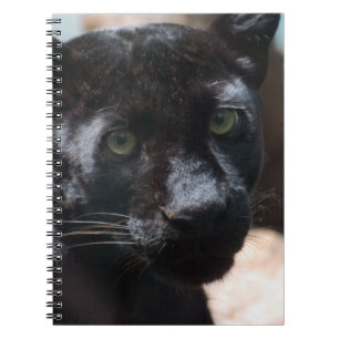 Cuaderno Pantera negra pensativa
