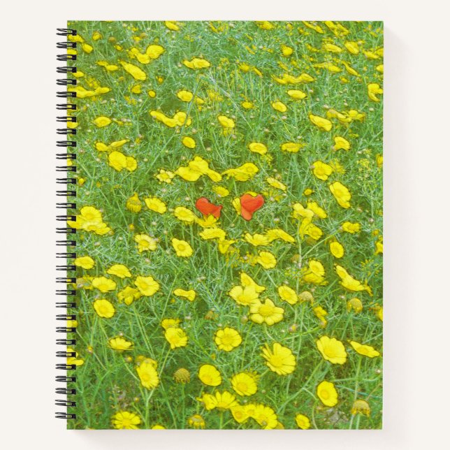 Cuaderno Papas acuáticas (Anverso)