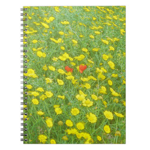 Cuaderno Papas acuáticas