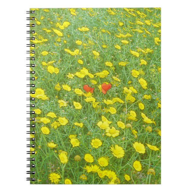 Cuaderno Papas acuáticas (Frente)
