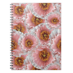 Cuaderno papas rosadas