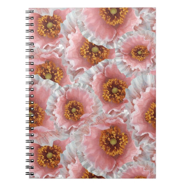Cuaderno papas rosadas (Frente)