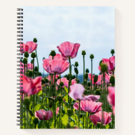 Cuaderno Papas rosadas