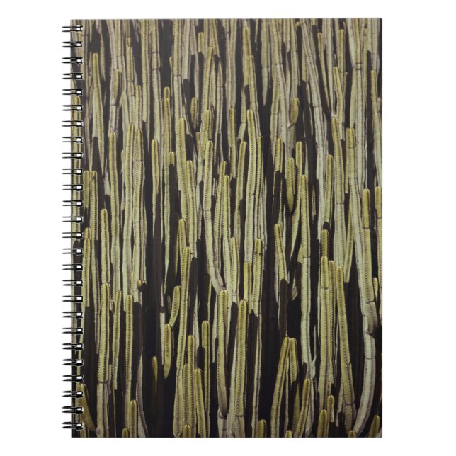 Cuaderno Papel de fondo de cactus verde (Frente)