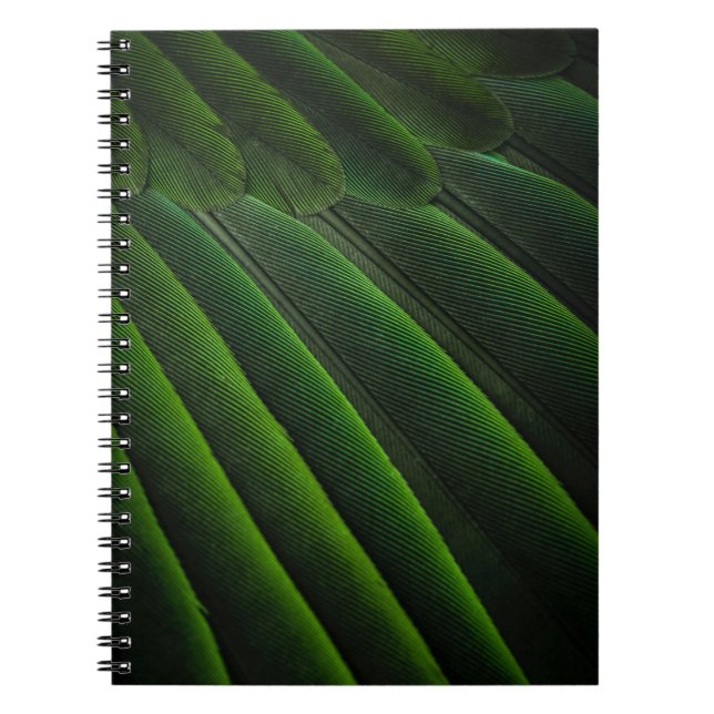 Cuaderno Papel verde 3D (Frente)