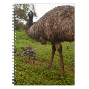 Cuaderno Papi De Emu Con Chicas,