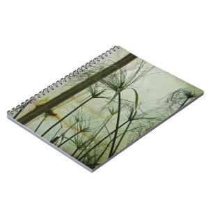 Cuaderno Papiro