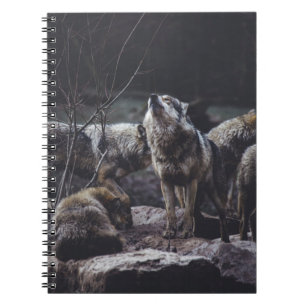 CUADERNO PAQUETE DE FÚTBOL EN FORMACIÓN ROCA