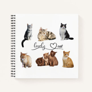 Cuaderno paquete de gatos, paquete de gatos divertidos