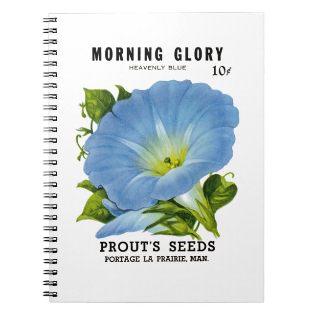 Cuaderno Paquete Semilla Vintage de Glory (Frente)