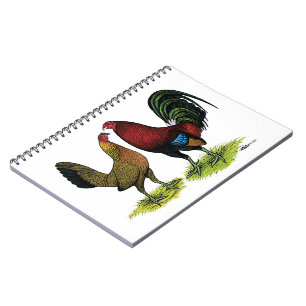 Cuaderno Par de gafas