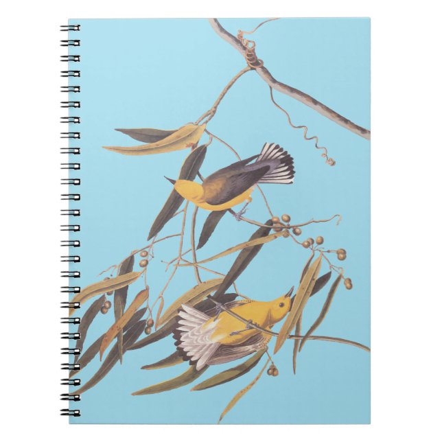 Cuaderno Par de pájaro prothonotario amarillo de Audubon (Frente)