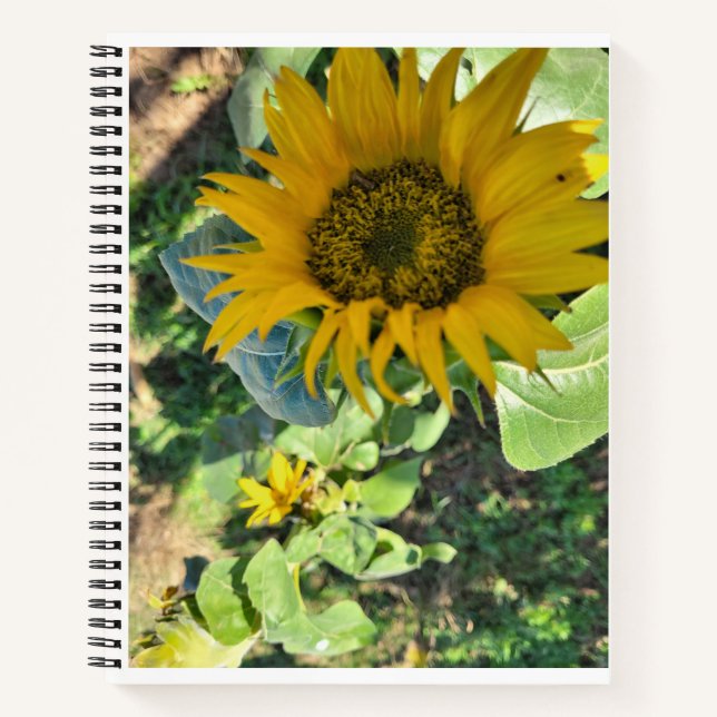 Cuaderno Para esbozar, dibujar, registrar (Anverso)