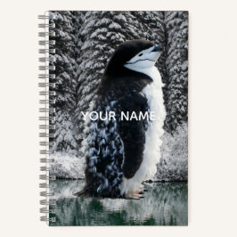 Cuaderno para niños para crear tu propio personaje