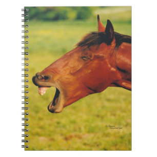 Cuaderno para reír de caballos