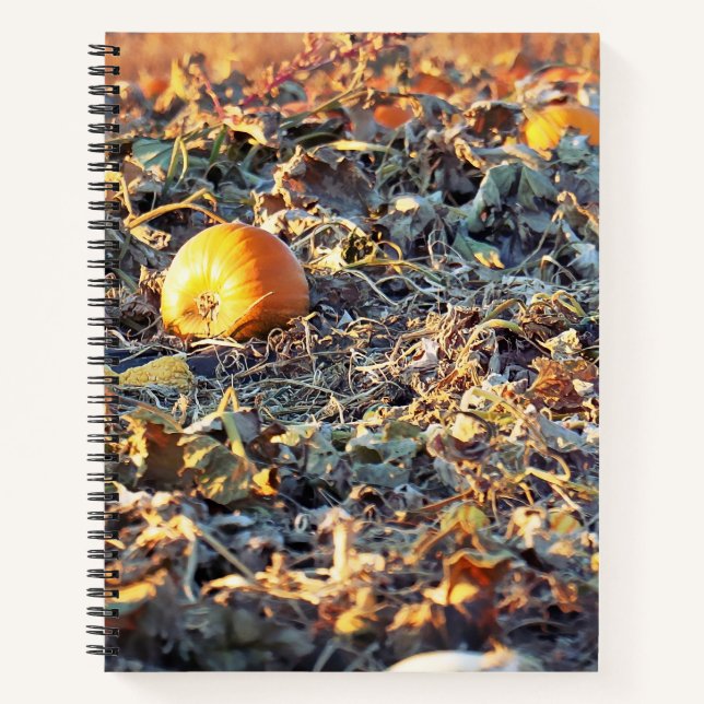 Cuaderno Parche de Calabaza Escarchada (Anverso)