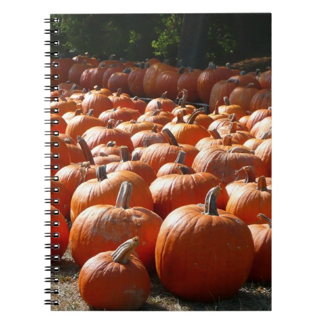 Cuaderno Parche de calabaza Fotografía de la cosecha otoñal (Frente)