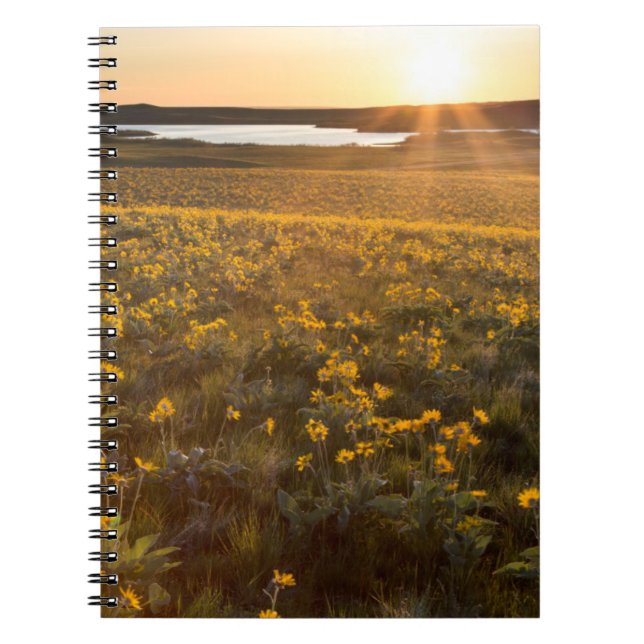 Cuaderno Parche de flores silvestres de Balsamroot de hoja  (Frente)