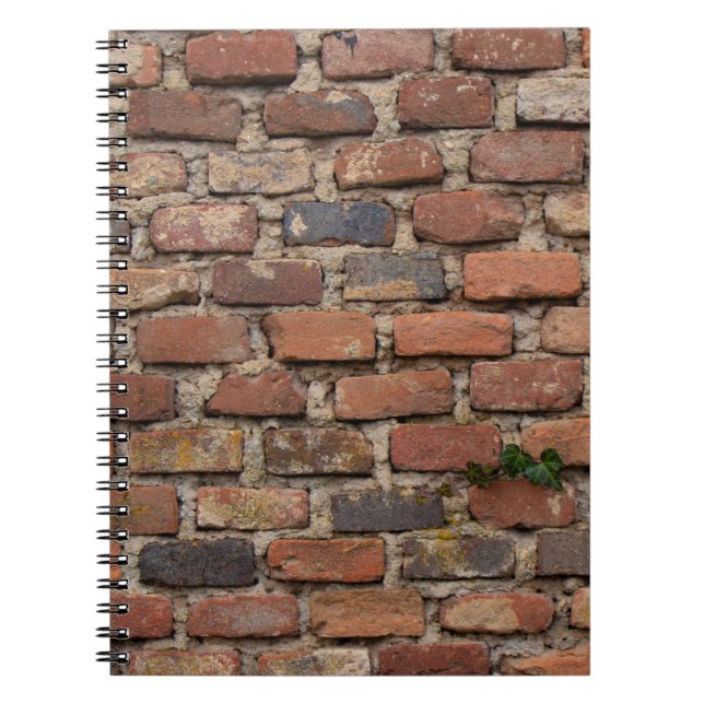 Cuaderno Pared de ladrillo marrón (Frente)