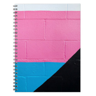 Cuaderno Pared rosa y azul