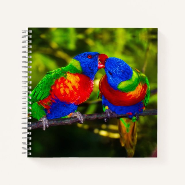 Cuaderno Pareja colorida de loros de besos (Anverso)