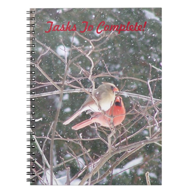 Cuaderno Pareja De Cardenales (Frente)