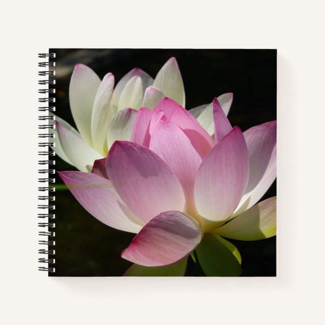 Cuaderno Pareja de flores de Lotus II (Anverso)