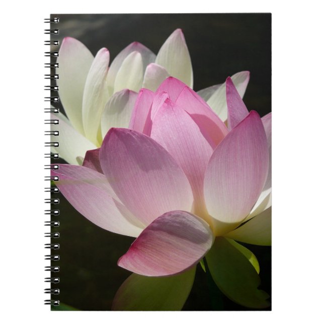 Cuaderno Pareja de flores de Lotus II (Frente)