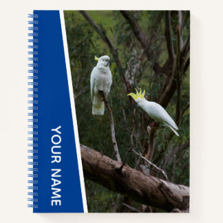 Cuaderno Pareja de Loros Cacatúa de Australia, Azul