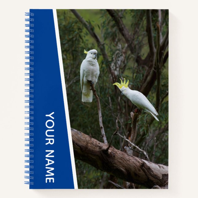 Cuaderno Pareja de Loros Cacatúa de Australia, Azul (Anverso)