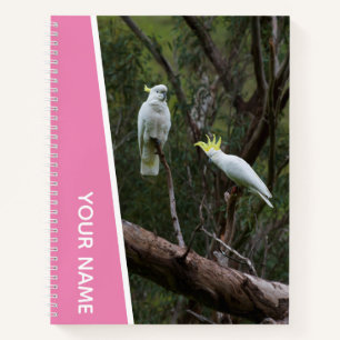 Cuaderno Pareja de Loros Cacatúa de Australia, Rosa
