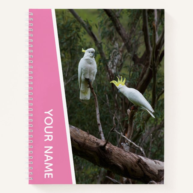 Cuaderno Pareja de Loros Cacatúa de Australia, Rosa (Anverso)