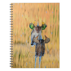 Cuaderno Pareja de Mallards