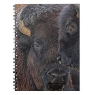 Cuaderno Pares consolidados Bull del bisonte americano y
