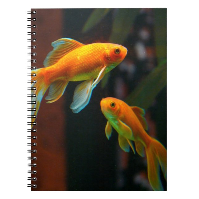 Cuaderno Pares de Goldfish afortunado (Frente)