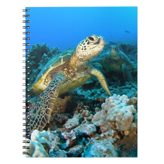 Cuaderno Pares de la tortuga (Frente)