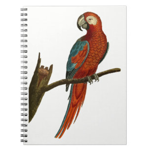 Cuaderno Paro