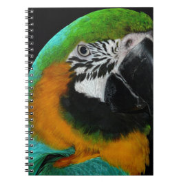 Cuaderno Paro