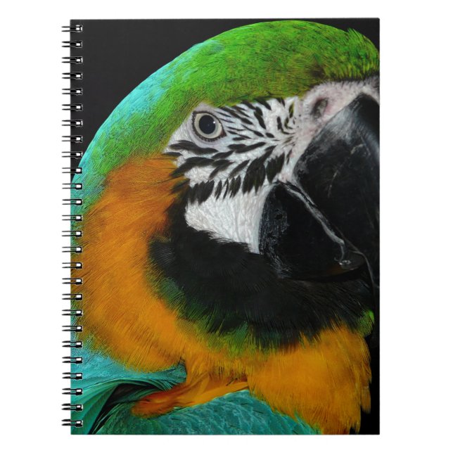 Cuaderno Paro (Frente)