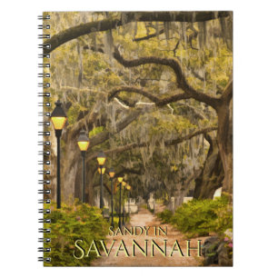 Cuaderno Parque de Forsyth del vintage - sabana, GA,