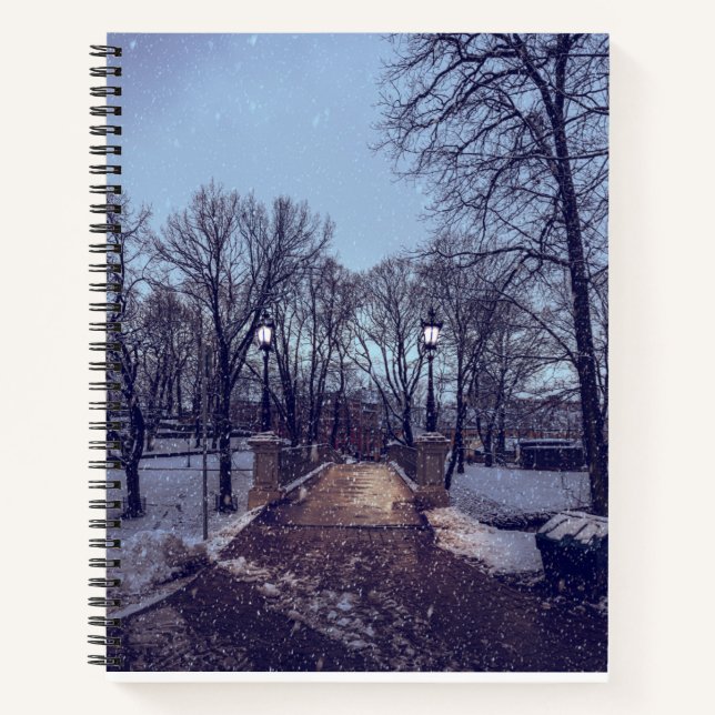 Cuaderno Parque de la ciudad nevada de invierno por la noch (Anverso)