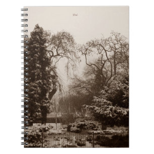 Cuaderno parque de la nieve y paisaje arbolado en invierno
