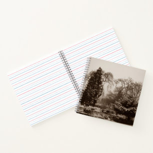 Cuaderno parque de la nieve y paisaje arbolado en invierno