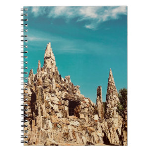 Cuaderno parque de madera petrificada