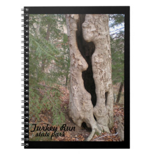 Cuaderno Parque estatal de la carrera de Turquía, árbol de