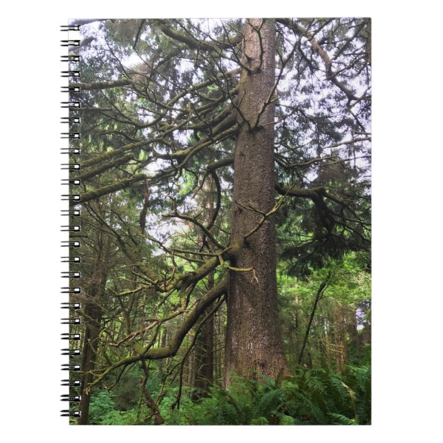 Cuaderno Parque Estatal Ecola, Playa Cannon, Oregón (Frente)