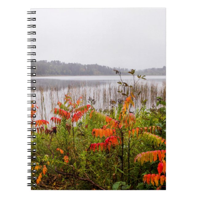 Cuaderno Parque estatal Itasca | Minnesota (Frente)
