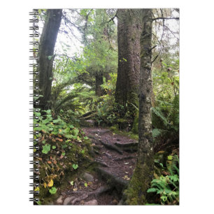 Cuaderno Parque Estatal Oswald West, Costa de Oregón