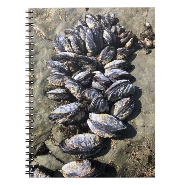 Cuaderno Parque Estatal Sisters Rock, Costa de Oregón (Frente)