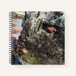 Cuaderno Parque Estatal Sisters Rock, Costa de Oregón